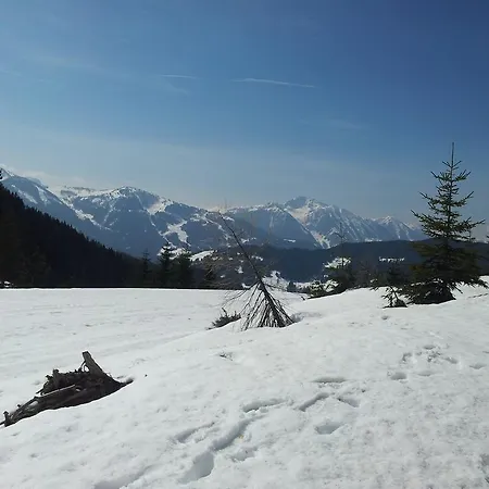 Apartmán Hubertus *