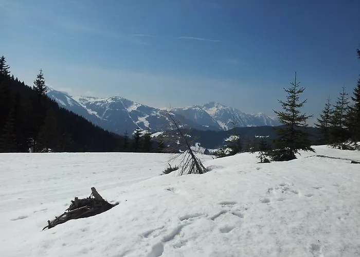 Appartement Hubertus *